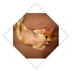 菱形图片 菱形图片