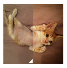 交互式图像对比 交互式图像对比