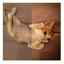 交互式图像对比 交互式图像对比