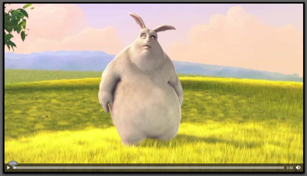 Mozilla的视频播放器 Mozilla的视频播放器