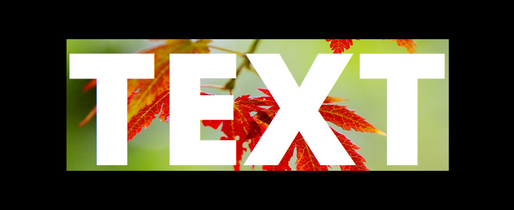 文本填充 文本填充