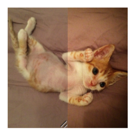 交互式图像对比 交互式图像对比