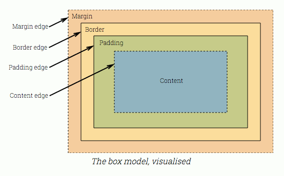 盒模型